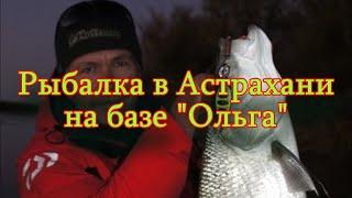 Константин Кузьмин. Рыбалка в Астрахани на базе "Ольга".