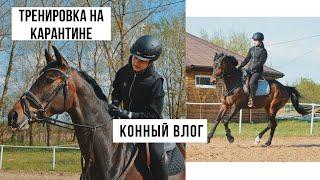 МОЙ ДЕНЬ НА КОНЮШНЕ // КАРАНТИН ВЕРХОМ