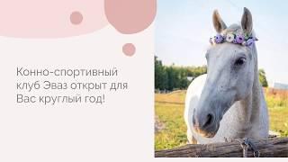Где покататься на лошадях? Обзор конного клуба «Эваз»