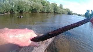 ГОРА РЫБЫ!!!! ЛОВЛЯ РУКАМИ/ПОДВОДНАЯ СЪЕМКА