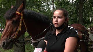 «Марий Эл ТВ»: Катание на лошадях и пони официально разрешено только в Центральном парке