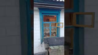 Дом в селе и его обитатели. https://youtu.be/SuVwWlDKKEU