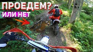 Сквозь Дикий Лес На Питбайках - Проедем или Нет? / Покатушки на питбайке Бсе 125 и Аполло 150