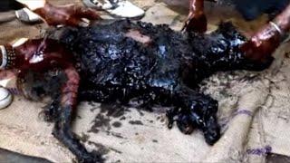 В начале спасатели даже не поняли, ЧТО перед ними. Еще секунда — и было бы уже слишком поздно…