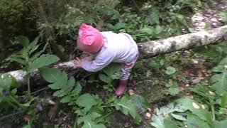 Деньги из хлама/Ремонт лифана/Покатушки за водой