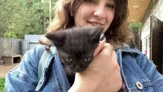 ВЕРНУЛАСЬ В КОННЫЙ СПОРТ? / Vlog с конюшни 