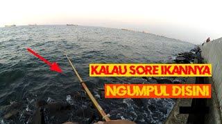 Mancing satu jam di Muara Baru dapat ikan apa?