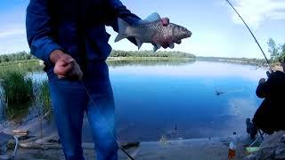 Рыбалка на Дону. Карась