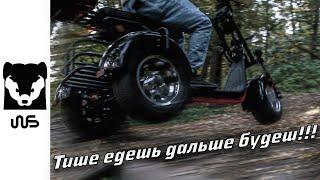 Трехколесный Электроскутер Citycoco WS PRO TRIKE 2020-2021. Самый проходимый Трайк!