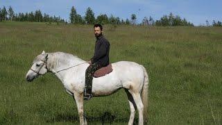 Утренняя прогулка верхом на лошади