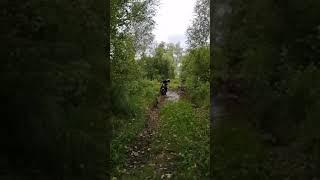 Как надо ездеть по лесу на питбайке ттр 125 ЛЕСНЫЕ ПОКАТУШКИ ТОП.