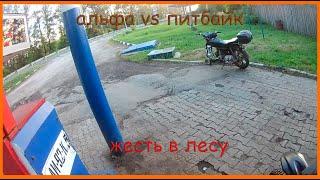 Совместные покатушки на альфе ч.2