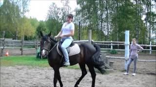 Копия видео Воскресная прогулка верхом на коне