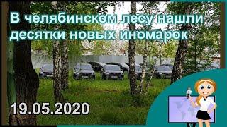 В челябинском лесу нашли десятки новых иномарок