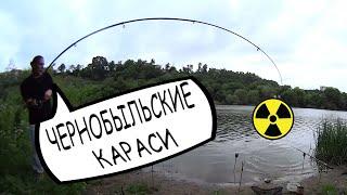 Наловил ЧЕРНОБЫЛЬСКИХ карасей / не Чернобыль ЧЗО