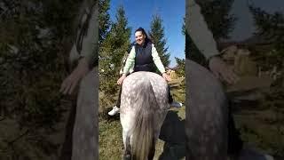 Релаксирующее занятие на лошади
