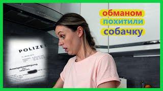 Влог, подсудное дело, простой и быстрый рецепт запеканки, что мы нашли в лесу, идея для бизнеса