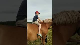 Как я катаюсь §3на лошади