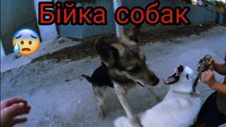 Влог:|