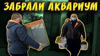 ПЕРЕВЕЗЛИ И ЗАПУСТИЛИ 100 ЛИТРОВЫЙ АКВАРИУМ С РЫБКАМИ!
