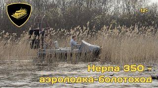 Аэролодка - вездеход болотоход Нерпа.