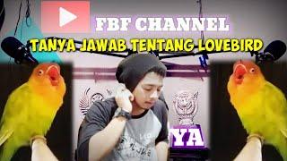 TANYA JAWAB || APAKAH TEORI LOVEBIRD KONSLET ITU BERGUNA ?