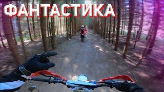 Магический Лес! - Этого Я Не Ожидал! / Покатушки на питбайке Бсе 125 и Аполло 150
