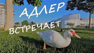 Адлер 2020. Роза Хутор. Адлер Сочи. Набережная Адлера. ПЛЯЖИ В АДЛЕРЕ. Сочи парк отель. Сочи 2020.