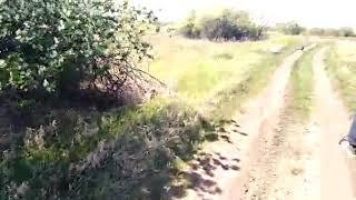 Верхом в поля