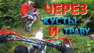 Пробираемся на Питбайках Через Кусты и Траву! / Покатушки на питбайке Бсе 125 и Аполло 150