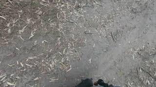 покатушки на моем скутере по лесу