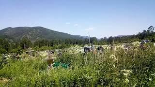 12.06.20 Дивногорск. Шалаева Раиса Ильинична