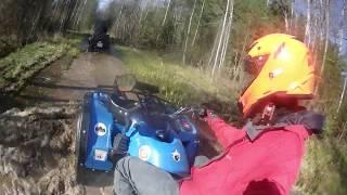 КАРАНТИННЫЙ ВЫЕЗД СТЕЛС ЛЕОПАРД И ГЕПАРД