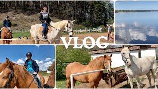 VLOG..АДАЖИ..ЛОШАДИ..ПИКНИК..ДЕНЬ РОЖДЕНИЕ КАТИ..