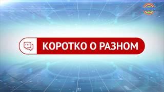 В Солнечногорске разыскивают поджигателей мусорных баков