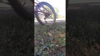 Покатушки на велосипеде