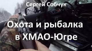 Тихая охота, прогулка по лесу