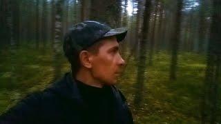 31 августа. Встречаю грозу в лесу. Рыбалка на Унже, щуки, окуни в коряжнике.
