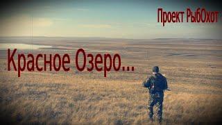 Прогулка по самой безлюдной территории около Красного озера Хакасия,пытаемся охотиться на куропатку