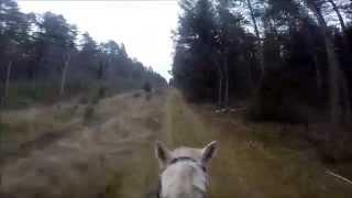 GoPro Верхом на лошади