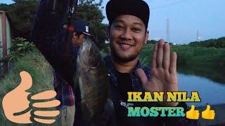 MANCING NILA MANIA