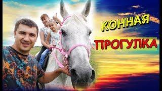 Катаемся на лошади . КОнная прогулка  Верхом на лошади