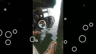 mancing di tempat extrim dapat nya 1 karung