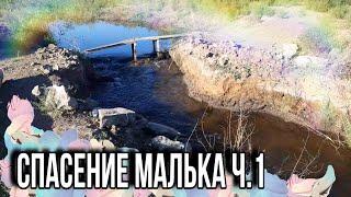 СПАСЕНИЕ МАЛЬКА/РЫБАЛКА/РЫБАЛКА2020/АСТРАХАНЬ/ДЕЛЬТА