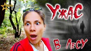 Ужас в лесу / horror in the forest