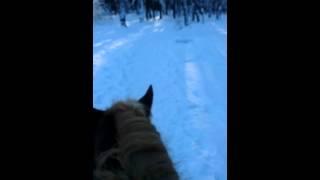 Верхом на лошади. On horseback