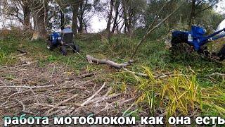 ЗАГОТОВКА ДРОВ ТЯЖЁЛЫМ ДИЗЕЛЬНЫМ МОТОБЛОКОМ KENTAVR