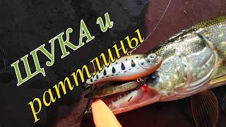 Ловля ЩУКИ на РАТТЛИНЫ