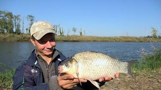 ОГРОМНЫЕ КАРАСИ НА Pop-Up, ЛОВЛЯ НА  Flat Method Feeder, РЫБАЛКА  ОСЕНЬЮ