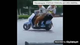 НУ ЭТО ПИЗД**КОГДА ХОЧЕШЬ СДЕЛАТЬ КРУТОЙ ЗВУК НА СКУТЕР 